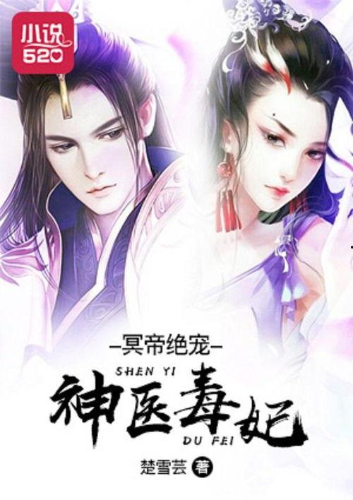 神医毒妃,神医与权谋的传奇人生